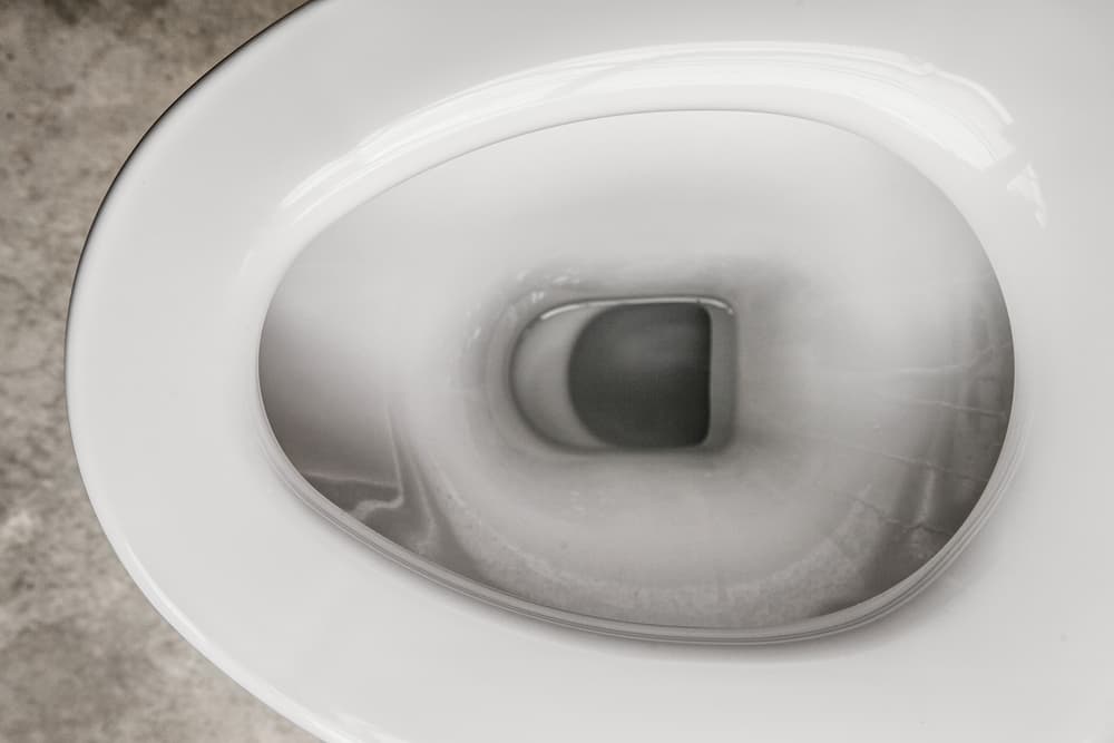トイレの黒ずみ完全除去するには？掃除方法と予防法を解説 カジタク（イオングループ）