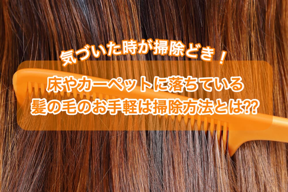 気づいた時が掃除時 床やカーペットの気になる髪の毛のお手軽掃除方法 カジタク イオングループ