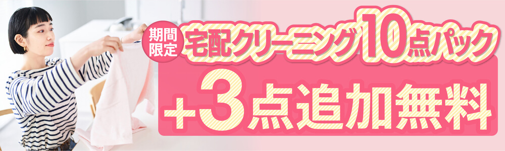 宅配クリーニング+3点追加無料!